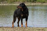 BEAUCERON 641